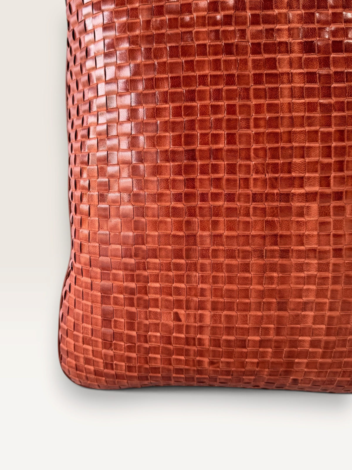 CESAR | CHESTNUT