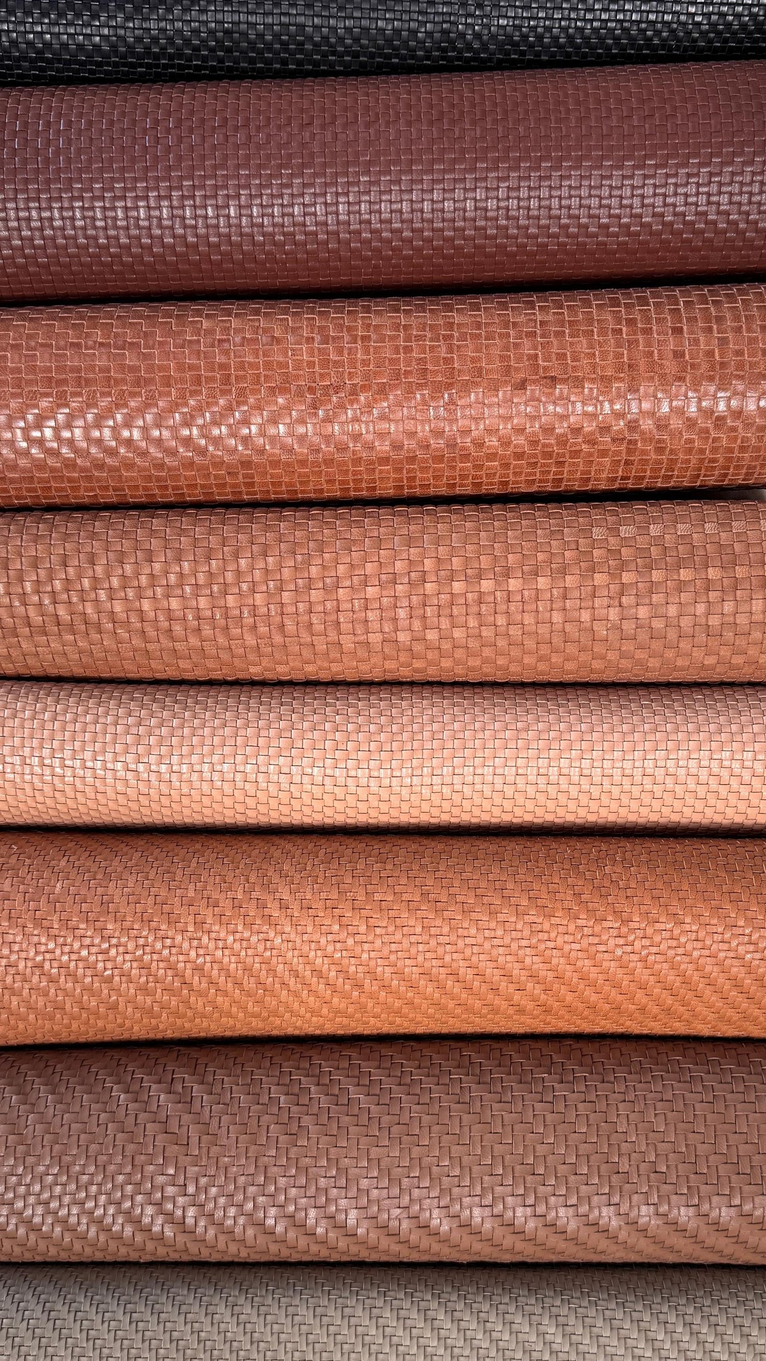 Fabric Collection