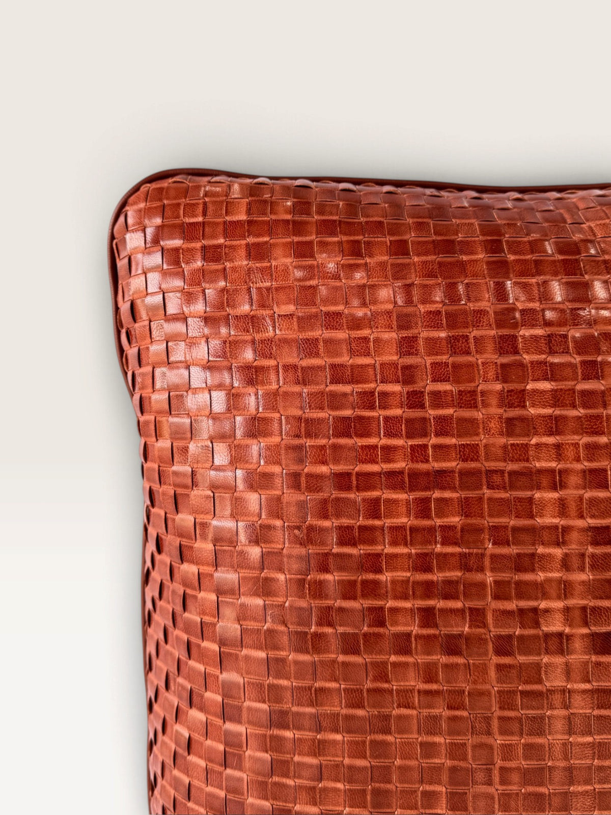 CESAR | CHESTNUT